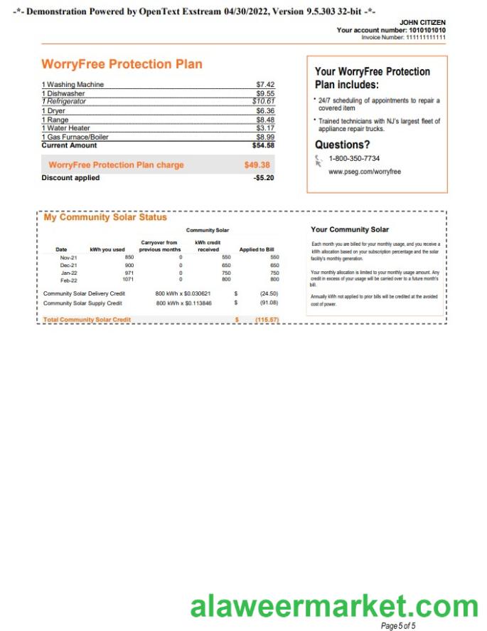 USA New York PSEG utility bill, Word and PDF template, 5 pages 5
